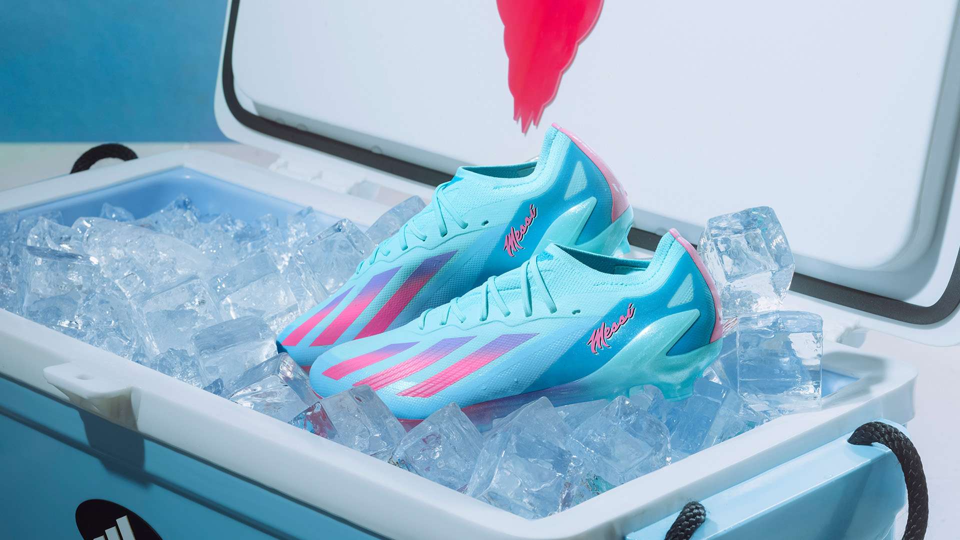 体育赛事中 体育赛事中