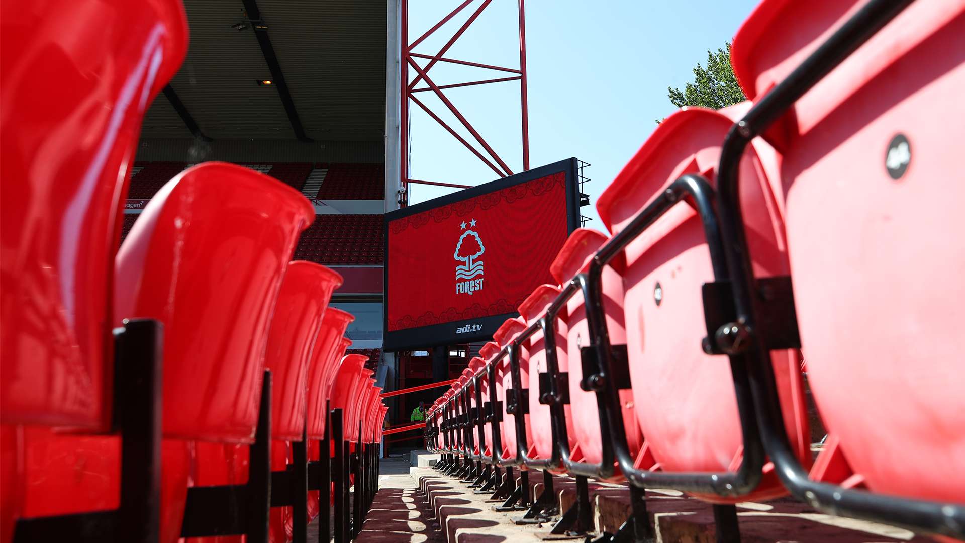 丰富的老将 丰富的老将